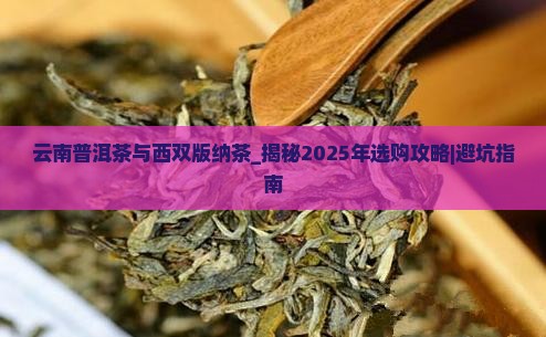 云南普洱茶与西双版纳茶