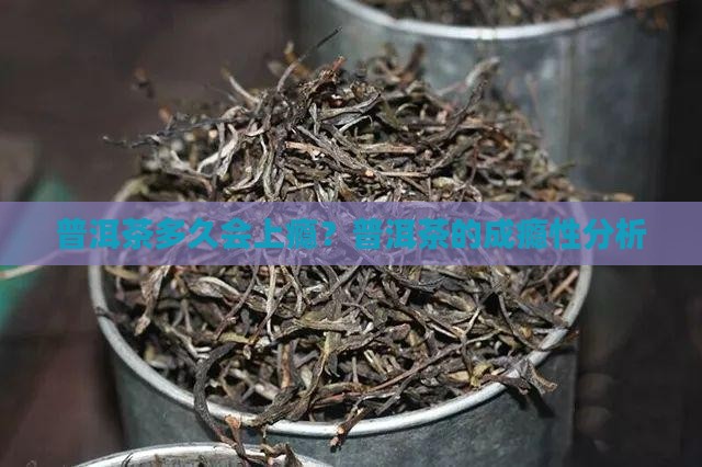 普洱茶一般喝多久上瘾