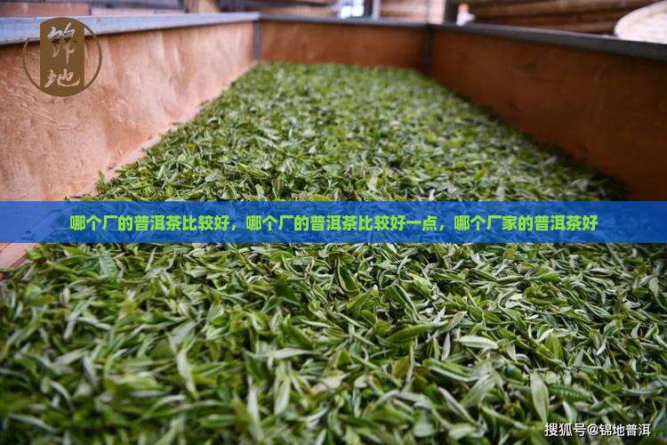 哪个厂的普洱茶比较好