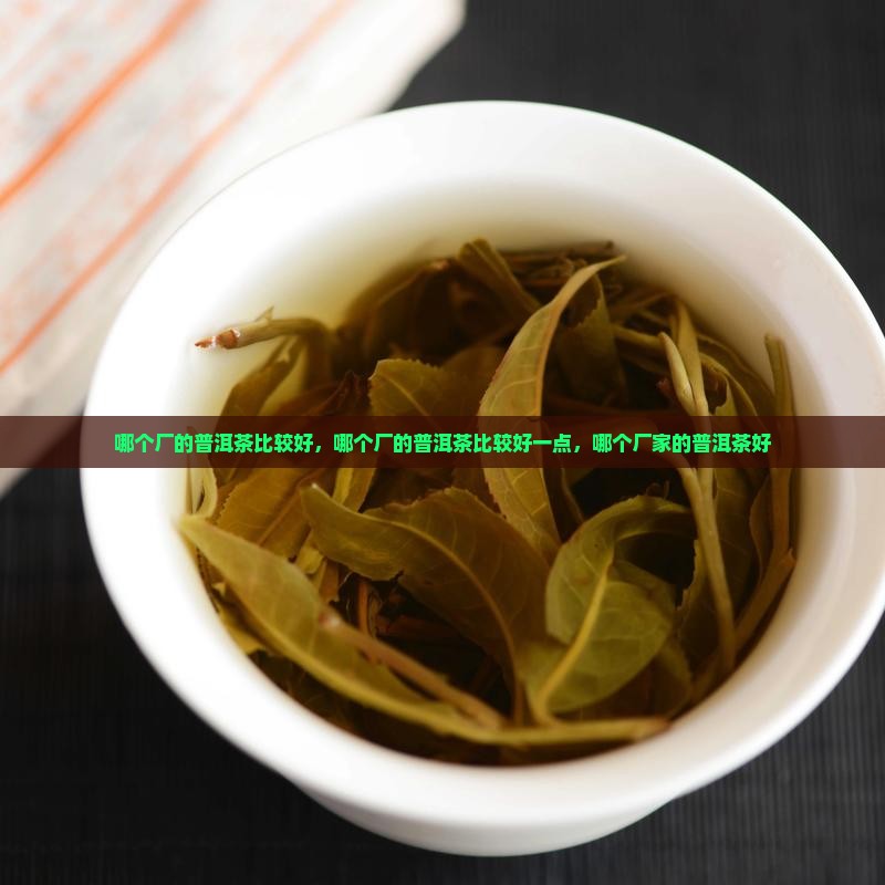 哪个厂的普洱茶比较好
