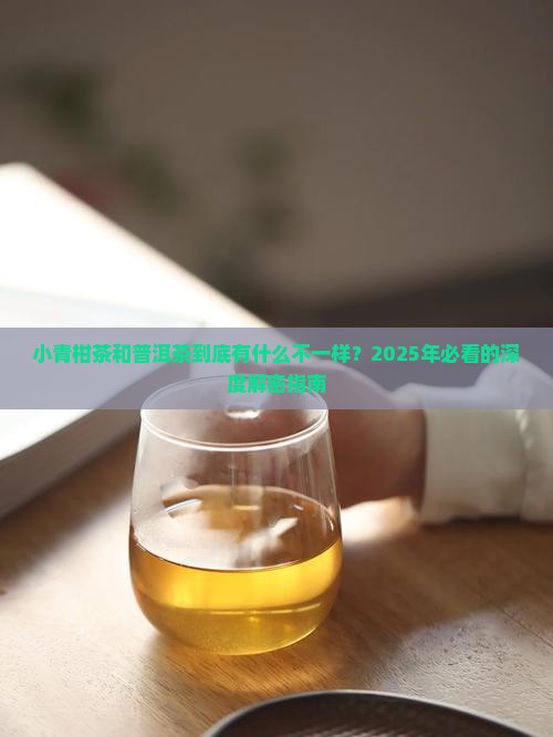 小青柑茶和普洱茶的区别