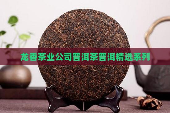 龙香茶业公司的普洱茶