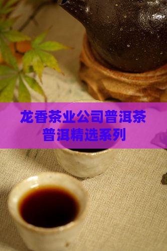 龙香茶业公司的普洱茶