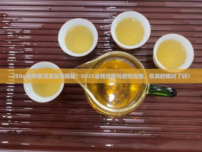 250g老树普洱茶