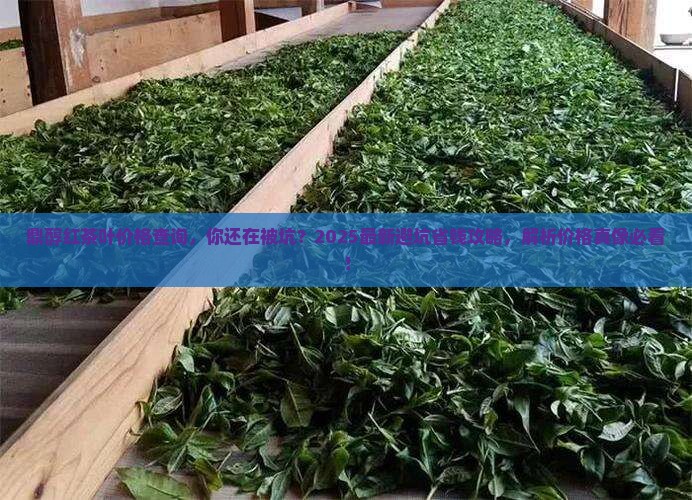 鼎醇红茶叶价格查询