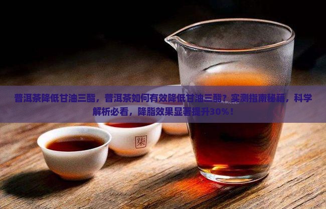 普洱茶降低甘油三酯