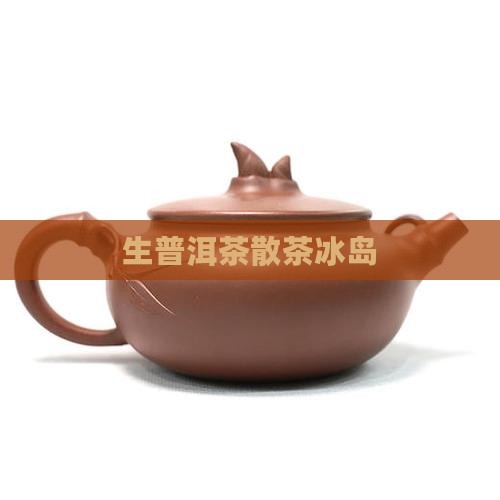 生普洱茶散茶冰岛
