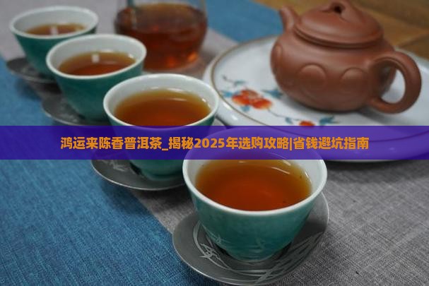 鸿运来陈香普洱茶