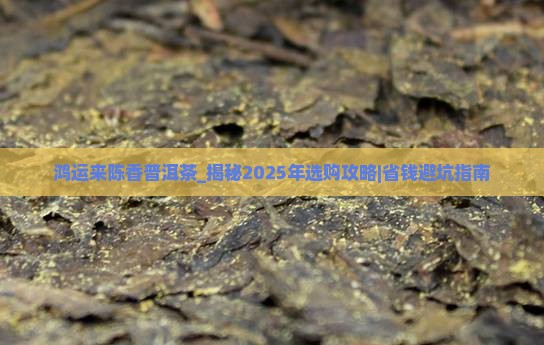 鸿运来陈香普洱茶