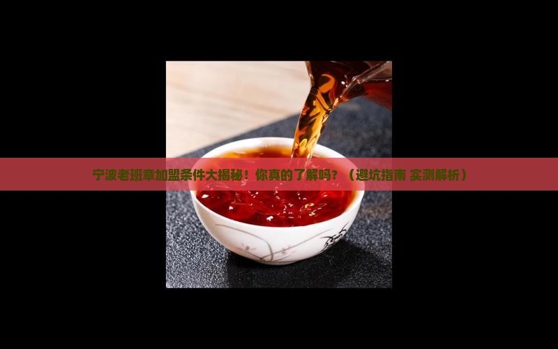 宁波老班章加盟条件有哪些