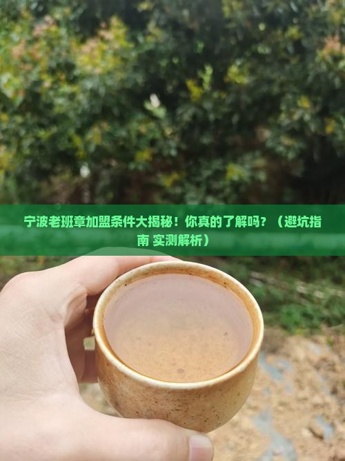 宁波老班章加盟条件有哪些
