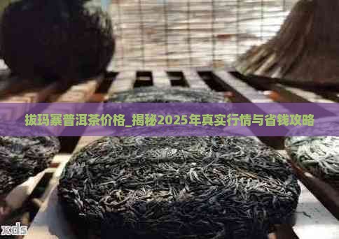 拔玛寨普洱茶价格
