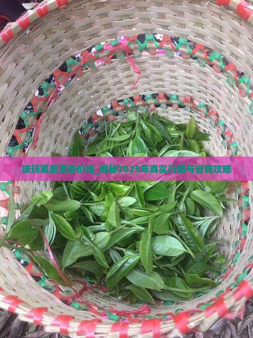 拔玛寨普洱茶价格