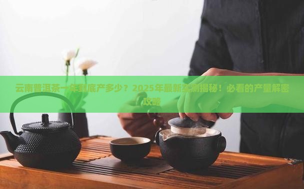 云南普洱茶一年产多少