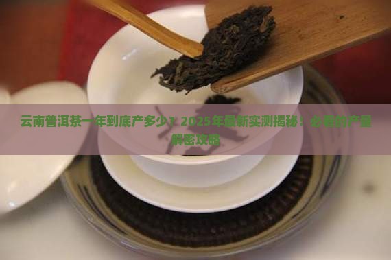 云南普洱茶一年产多少