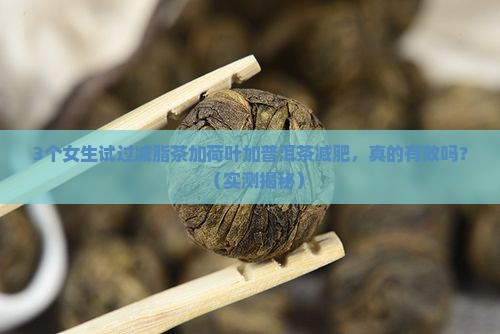 减脂茶加荷叶加普洱茶减肥