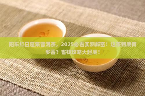 阳东红日蓬集普洱茶