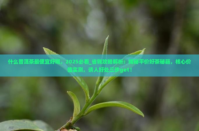 什么普洱茶最便宜好喝