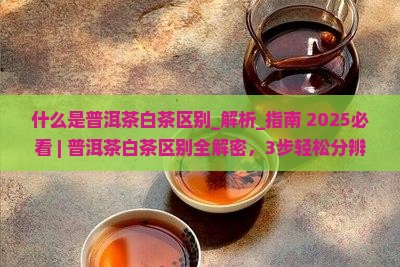 什么是普洱茶白茶区别