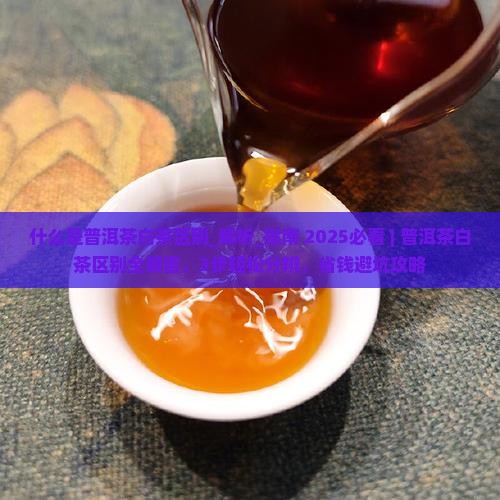 什么是普洱茶白茶区别