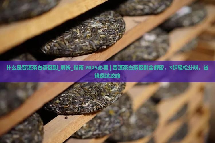 什么是普洱茶白茶区别