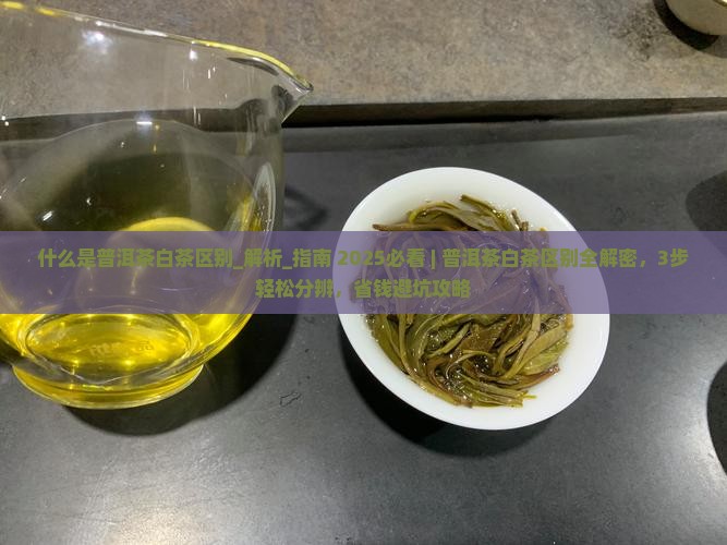 什么是普洱茶白茶区别