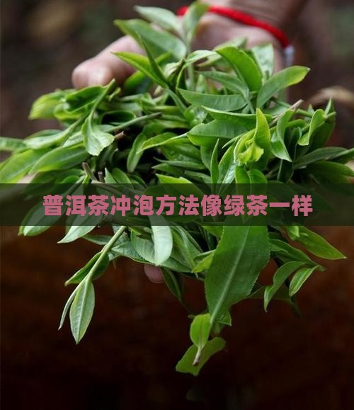 普洱茶泡法像绿茶一样