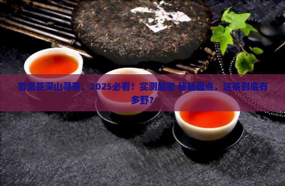 普洱茶深山寻茶