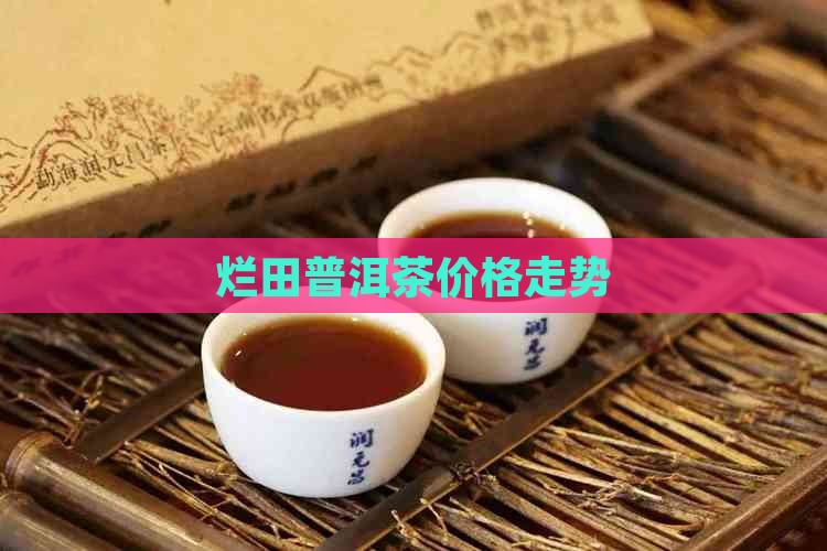 烂田普洱茶价格