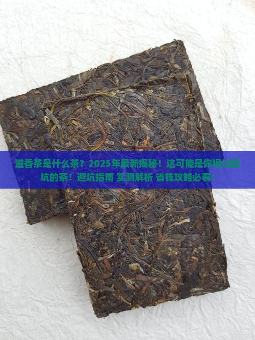 溢香茶是什么茶