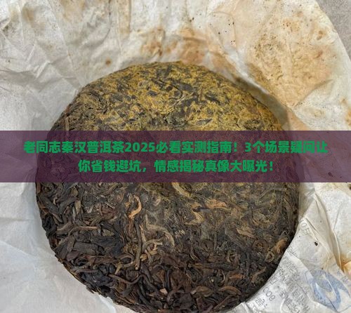 老同志秦汉普洱茶