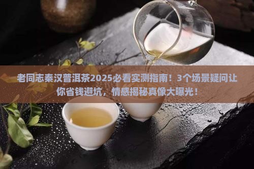 老同志秦汉普洱茶