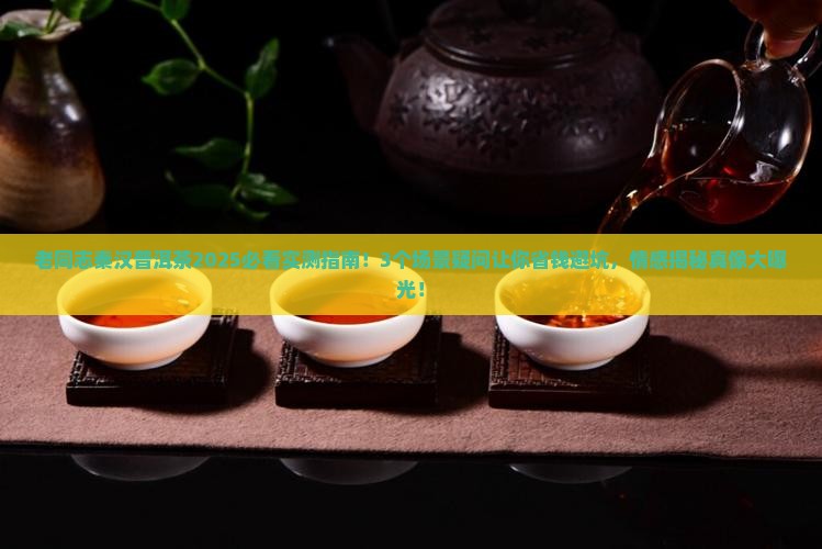 老同志秦汉普洱茶