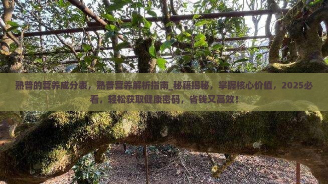 熟普的营养成分表