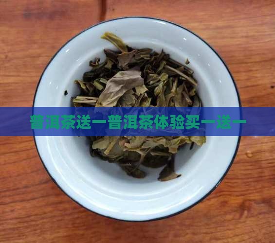 普洱茶体验买一送一