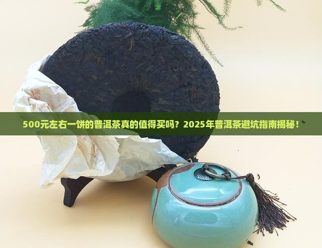 500元左右一饼的普洱茶