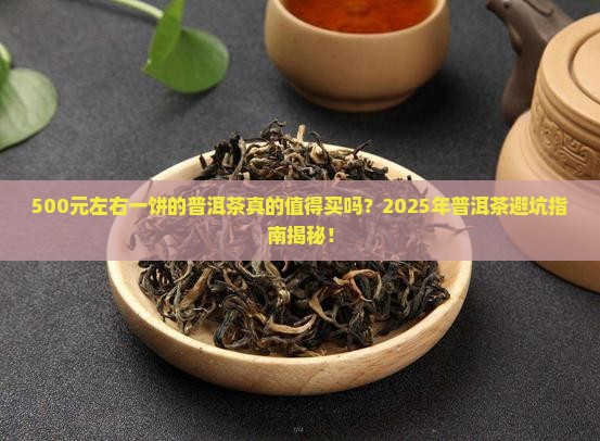 500元左右一饼的普洱茶