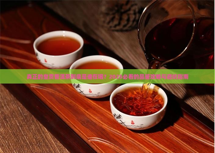 真正的皇贡普洱茶