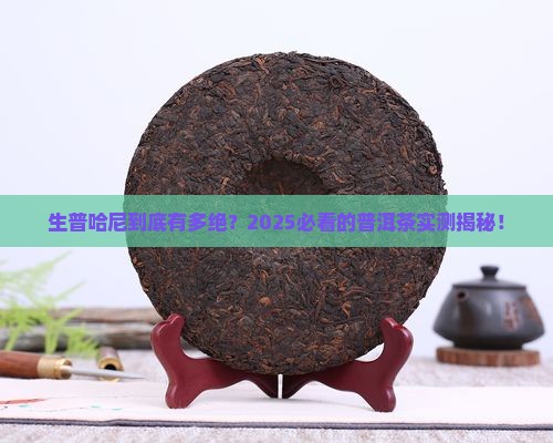 普洱茶生普哈尼之光