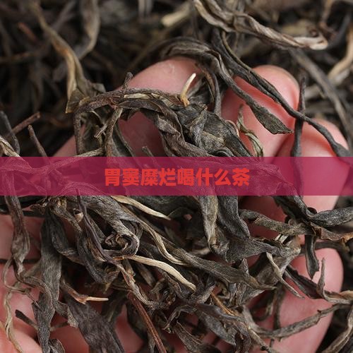 胃窦糜烂喝什么茶