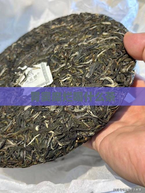 胃窦糜烂喝什么茶