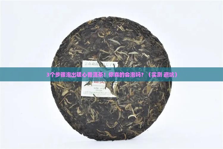 泡一壶温和的普洱茶