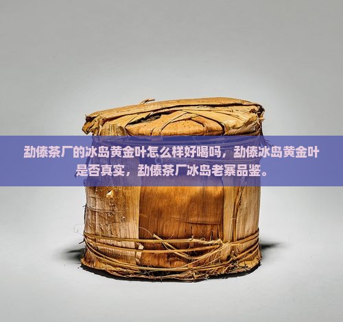 勐傣茶厂的冰岛黄金叶怎么样