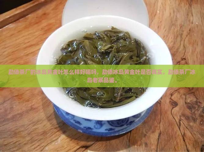 勐傣茶厂的冰岛黄金叶怎么样