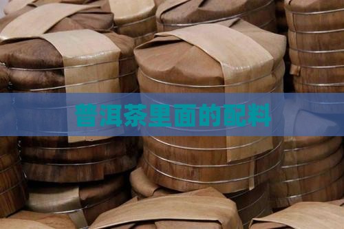 普洱茶里面的配料