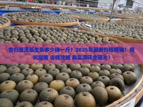 昔归普洱茶生茶多少钱一斤