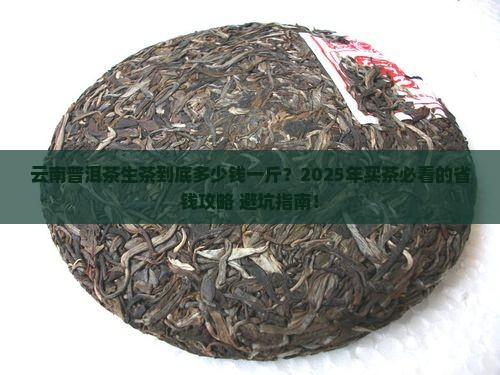 云南普洱茶生茶卖多少钱一斤