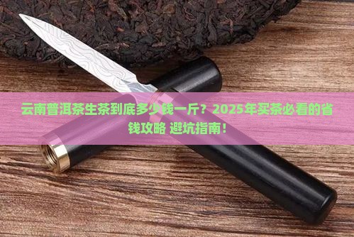 云南普洱茶生茶卖多少钱一斤