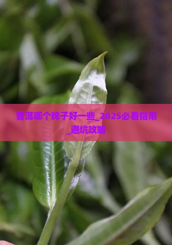 普洱哪个牌子好一些