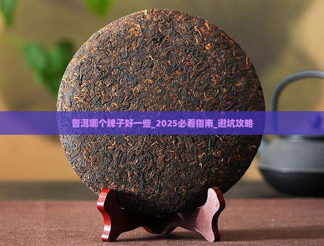 普洱哪个牌子好一些